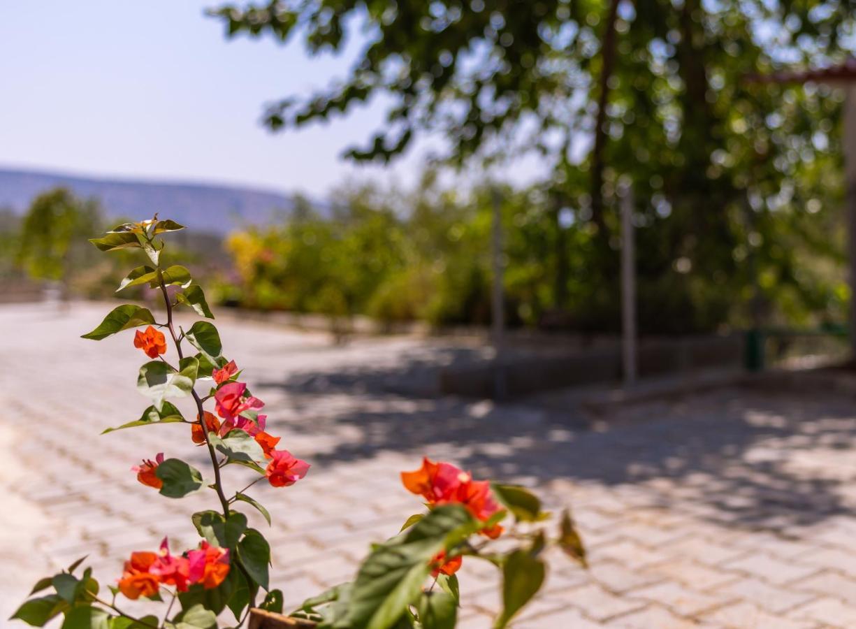 Agach Aparts-Savran Milas Exterior photo
